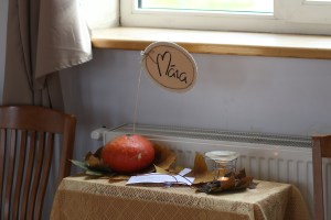 majdzemdibu-gimenu-salidojums-2016-003