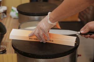 majdzemdibu-gimenu-salidojums-2016-029