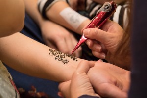 majdzemdibu-gimenu-salidojums-2016-332